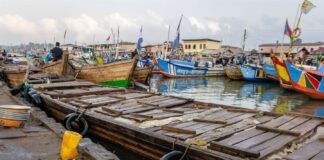 Stolen at Sea An investigation into illegal Chinese transshipment activities in West Africa