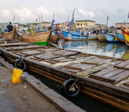 Stolen at Sea An investigation into illegal Chinese transshipment activities in West Africa