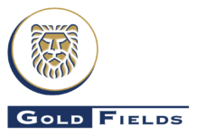 Metallurgy Manager of Gold Fields’ Damang Mine named Female Mining Professional of the Year