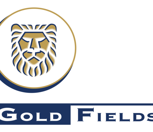 Metallurgy Manager of Gold Fields’ Damang Mine named Female Mining Professional of the Year