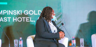 Insurers must lead the charge in resilience building, economic recovery – Hollard CEO