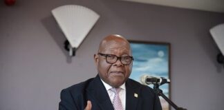 Implement NDPC plans not those you think are best – Speaker tells ministers