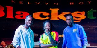 Whoopro: a digital innovation powering brands and influencers to get more value