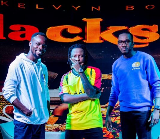 Whoopro: a digital innovation powering brands and influencers to get more value