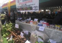 Week-long Farmers’ Day agricultural fair opens at Techiman