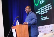 Economy’s future looks bright but we must build more resilience – Dep. Trade Min