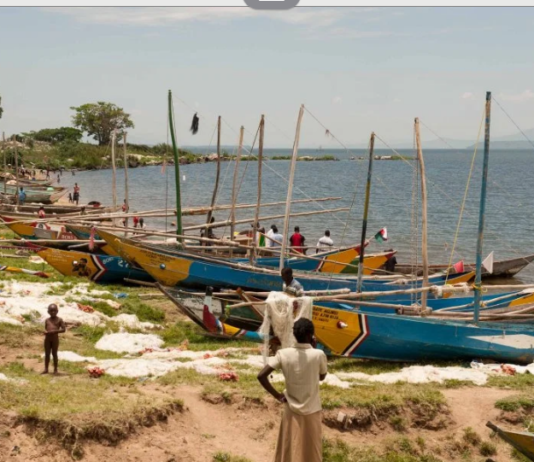 Encroachers, erosion put 150 fish landing sites in danger