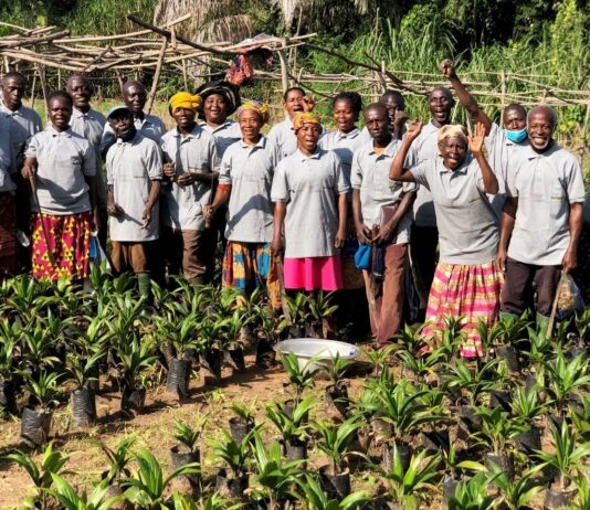 Empowering farmers to improve productivity