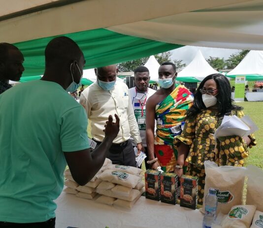SNV launches GrEEn Job Fair at Agona Nkwanta