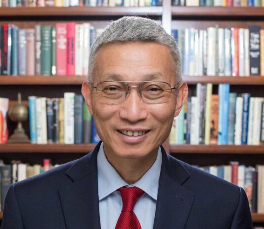 China’s Green Gambit