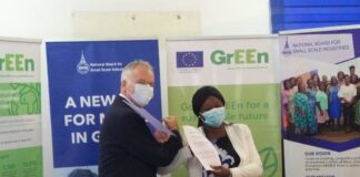 NBSSI, SNV to support and create Green businesses