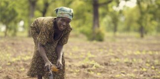 Food security, agriculture, AfCFTA crucial for Africa’s post-COVID-19 recovery – African Economic Conference