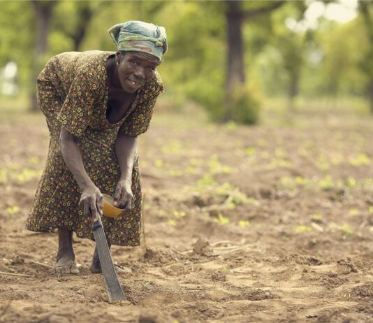 Food security, agriculture, AfCFTA crucial for Africa’s post-COVID-19 recovery – African Economic Conference