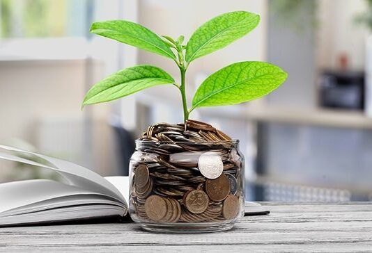 Nigerians are looking to investment programmes to broaden business reach