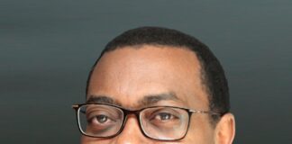 Africa must risk capital for its youth – Adesina urges