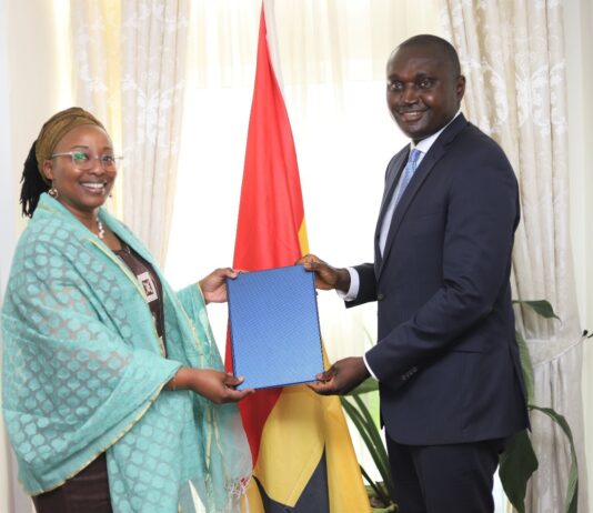 New Resident Representative of UNDP Ghana presents letter of credence