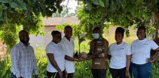 GEPA distributes 400,000 coconuts seedlings to farmers