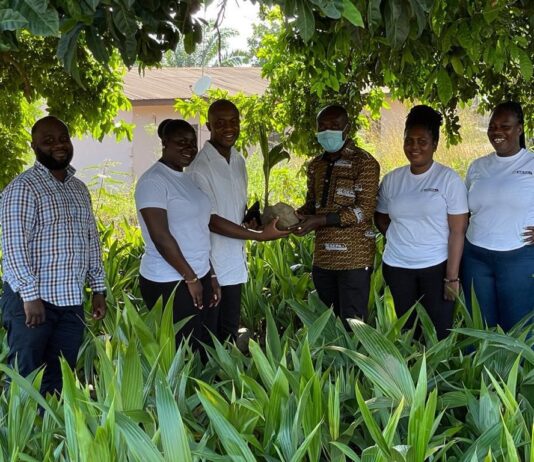 GEPA distributes 400,000 coconuts seedlings to farmers
