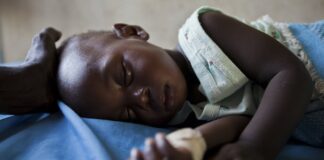 Malaria death toll to exceed COVID-19’s in sub-Saharan Africa: WHO