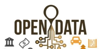 Open Data for Sustainable Development