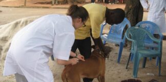 Veterinary Council outdoors modified Meat Inspection Regulation