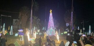 Ecobank, others partner to Light Up the City