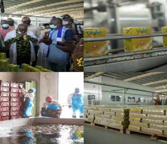 Taking industrialisation by storm – The success story of Ekumfi Fruits and Juices Factory