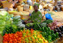 COVID-19’s impact on food systems