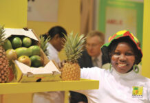 Gov’t to meet fruit & vegetable exporters over threats of Brexit