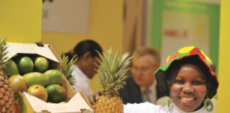 Gov’t to meet fruit & vegetable exporters over threats of Brexit