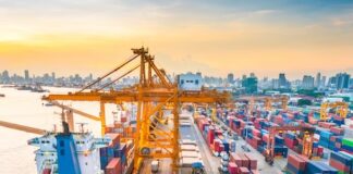 International Trade: Year in Review 2020