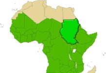 Moody’s – Negative outlook for sub-Saharan African sovereigns as debt costs will intensify post pandemic