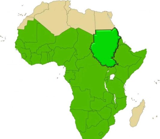 Moody’s – Negative outlook for sub-Saharan African sovereigns as debt costs will intensify post pandemic